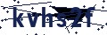 Visual verification code
